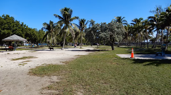 Clarence S. Higgs Memorial Beach Dog Park photo 2